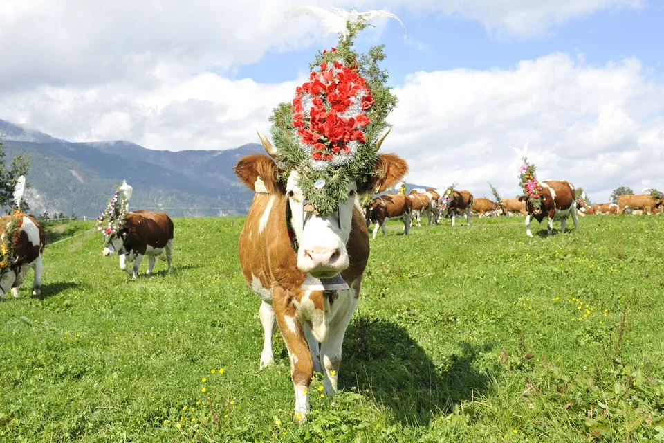 © Alpbachtal Tourismus