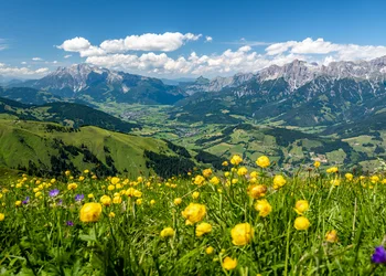 Maria Alm - Bauernherbst