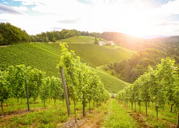 Slowenien - Moravske Toplice E-Bike Tour