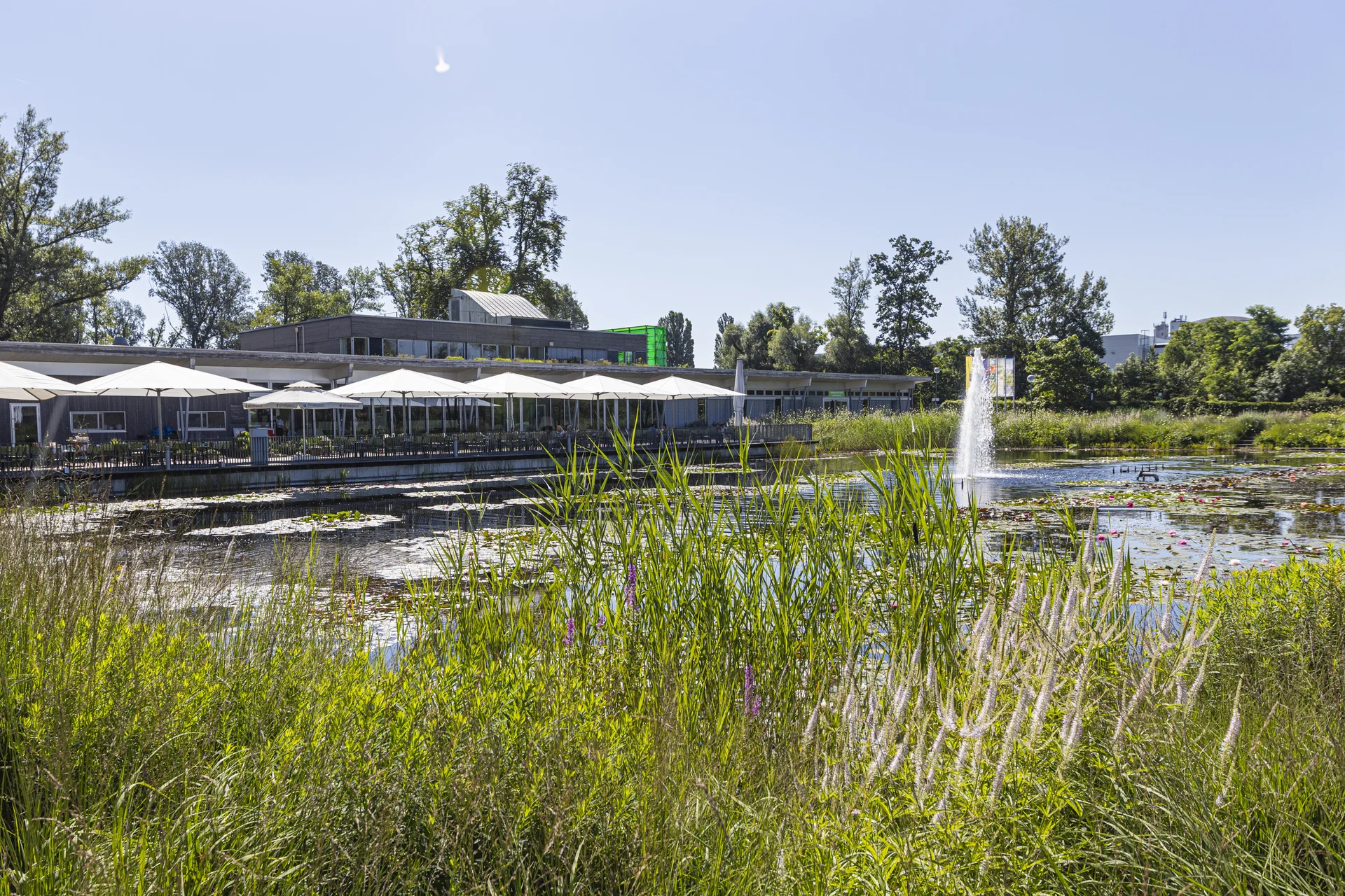 © Friedl und Schmatz