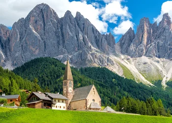 Südtirol - Almrosenblüte