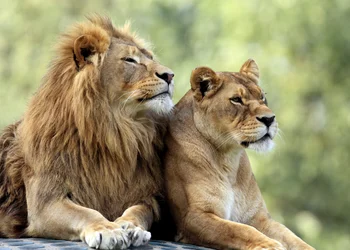 Prag - Zoo