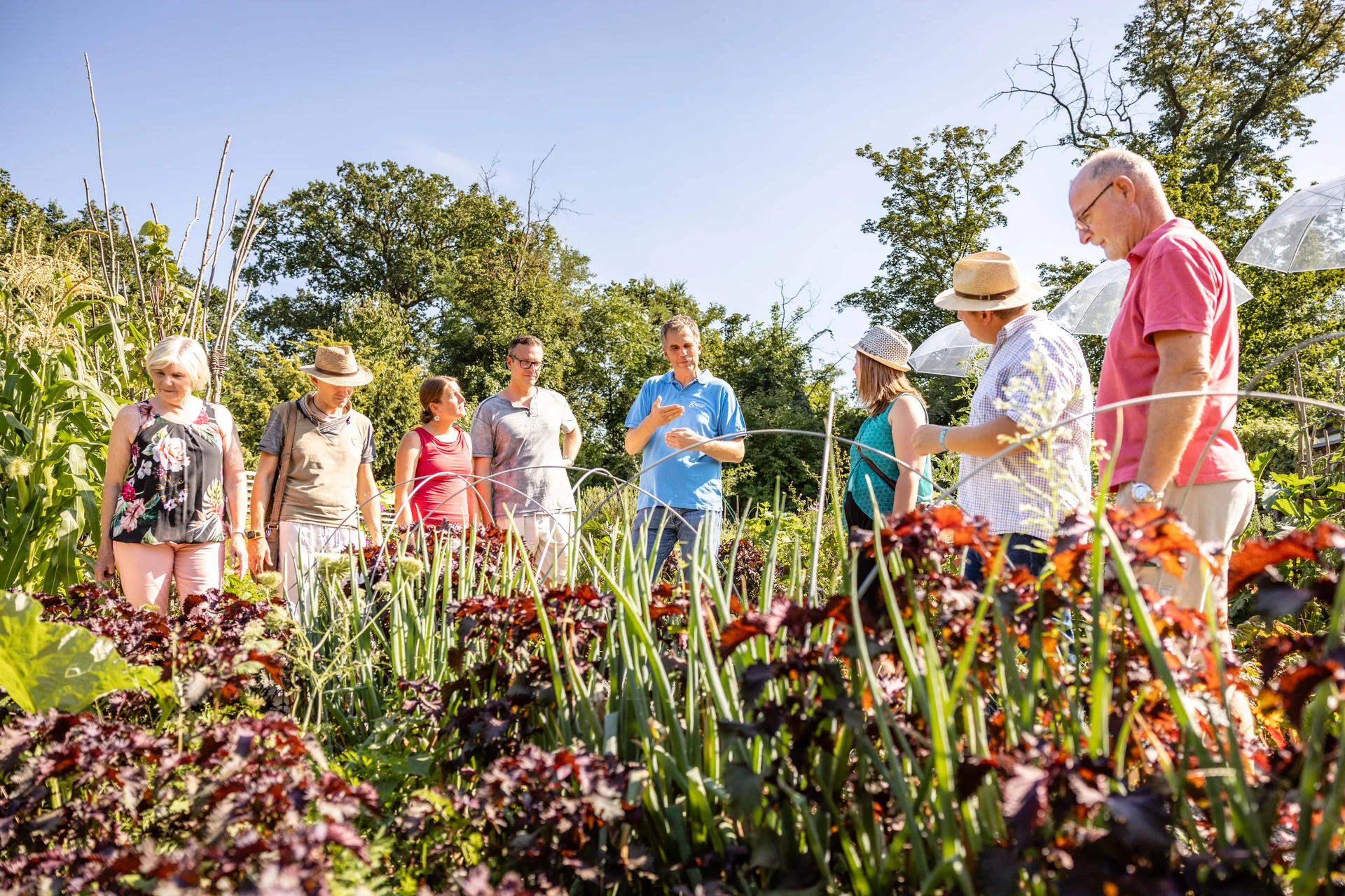 © Friedl und Schmatz