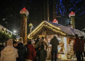 Pilsen Advent - Waldweihnacht Schweinhütt