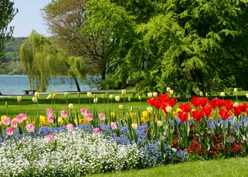 Bodensee - Insel Mainau