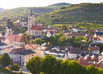 Wachau - Marille