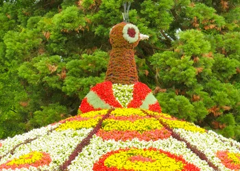 Bodensee - Insel Mainau