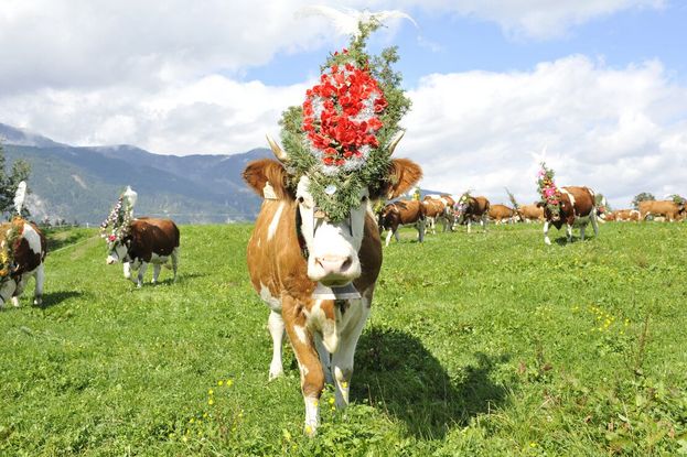 © Alpbachtal Tourismus