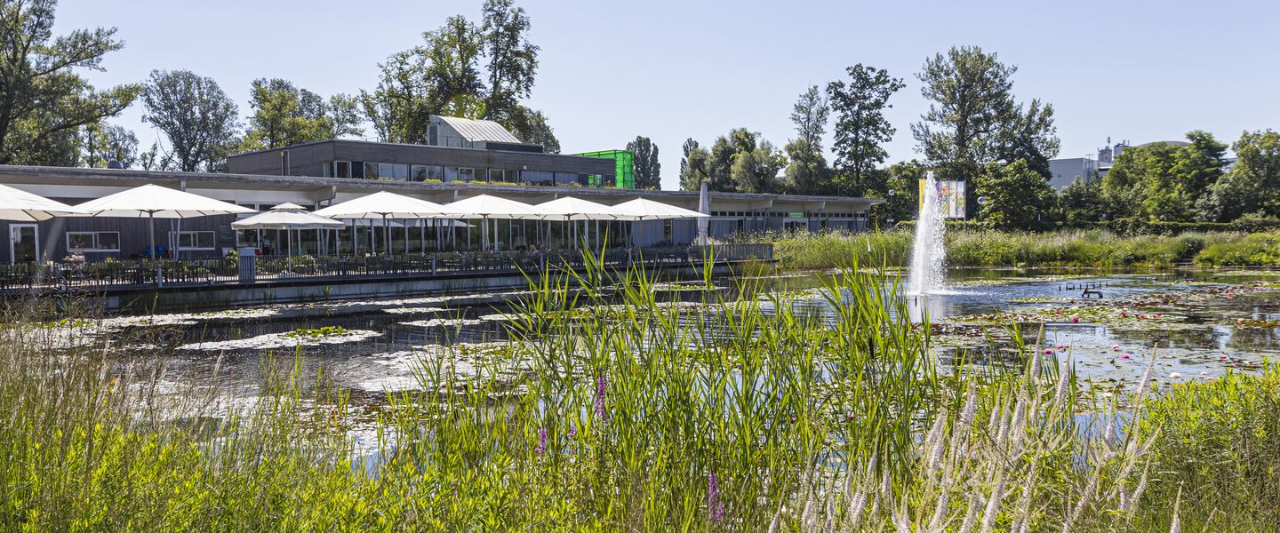 © Friedl und Schmatz